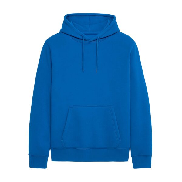 Hoodie sin estampado capota